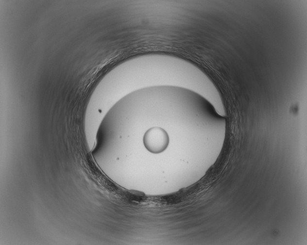 X0000115310211200911301543