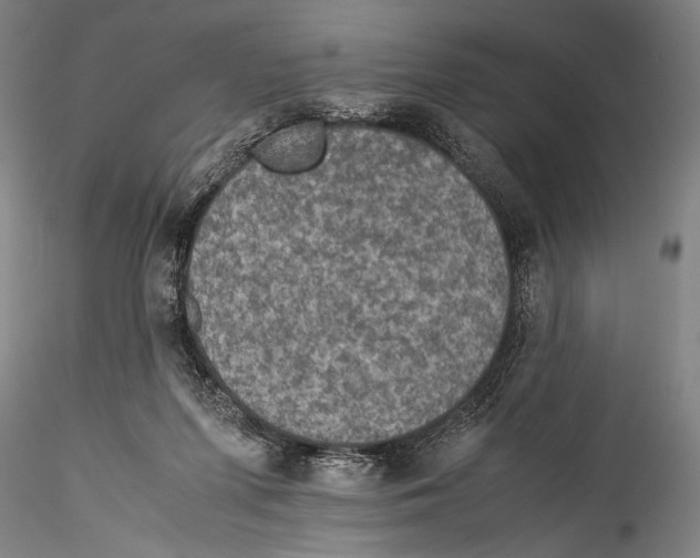 X0000115310215200911301543