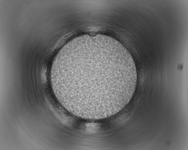 X0000115310216200911301543