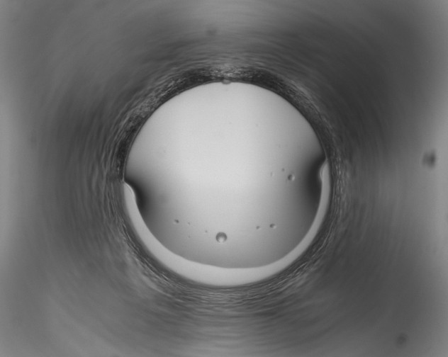 X0000115310217200911301543