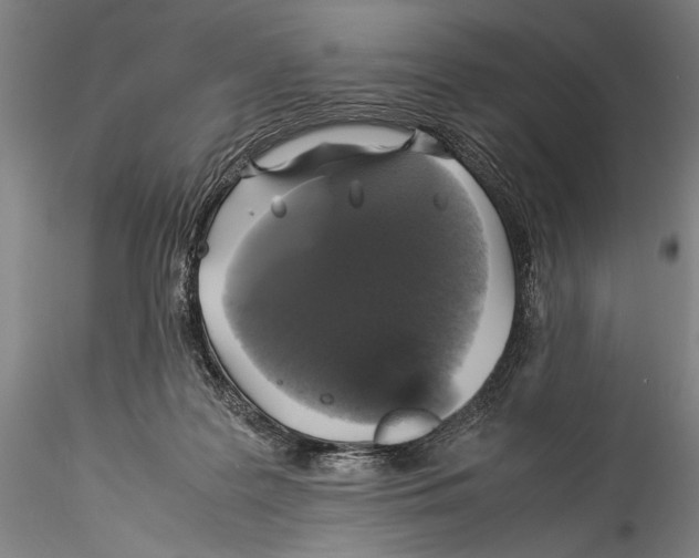 X0000115310219200911301543