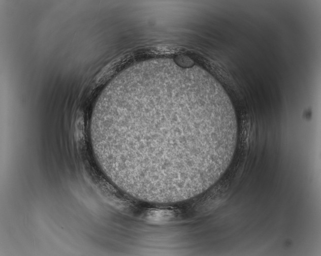 X0000115310220200911301543