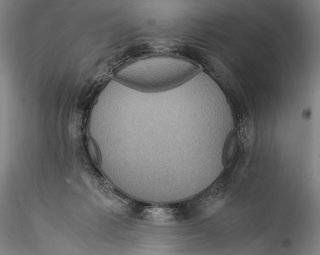 X0000115310221200911301543