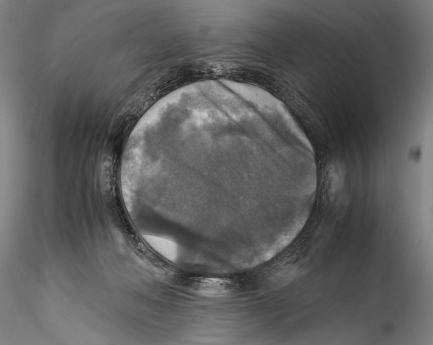 X0000115310222200911301543