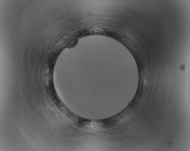 X0000115310223200911301543