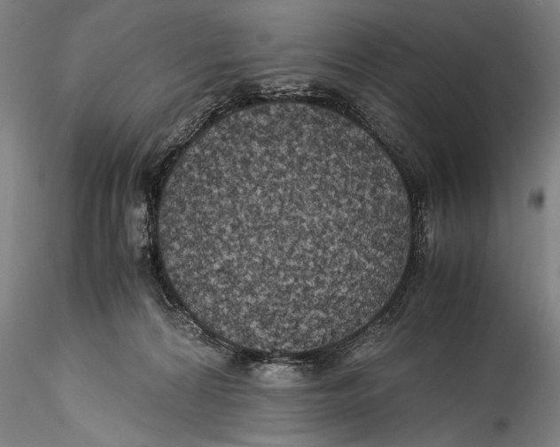 X0000115310224200911301543