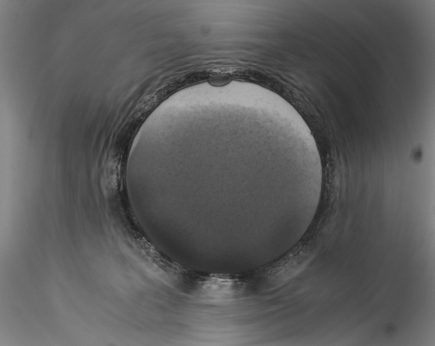 X0000115310227200911301543