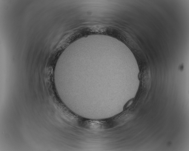 X0000115310229200911301543