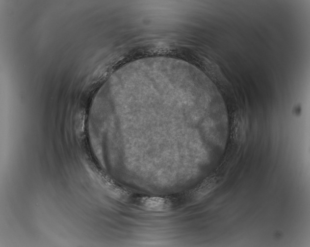 X0000115310230200911301543