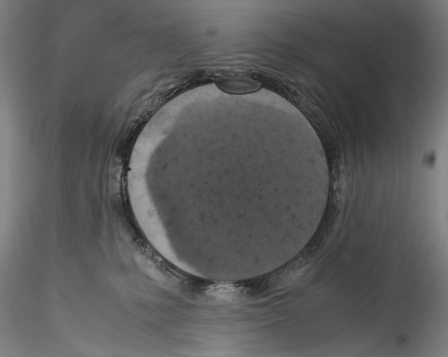 X0000115310231200911301543