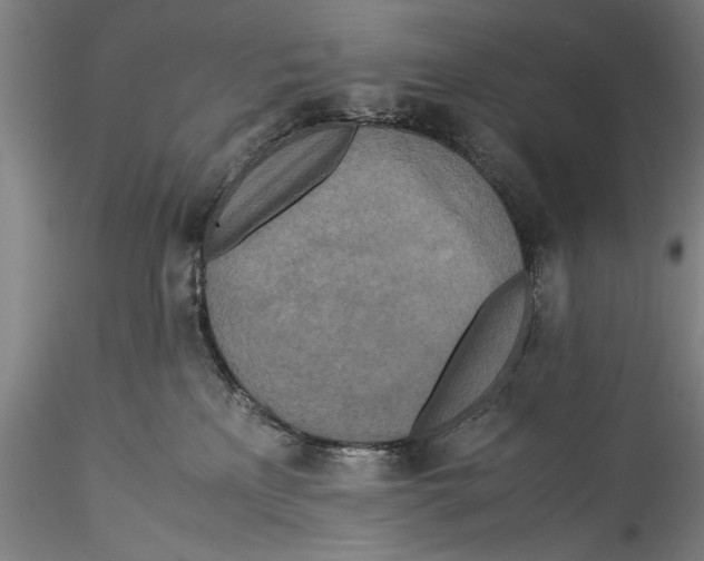 X0000115310233200911301543