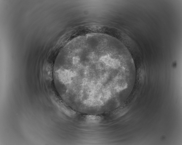 X0000115310234200911301543