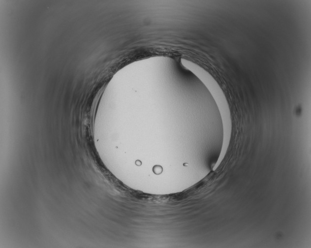 X0000115310235200911301543