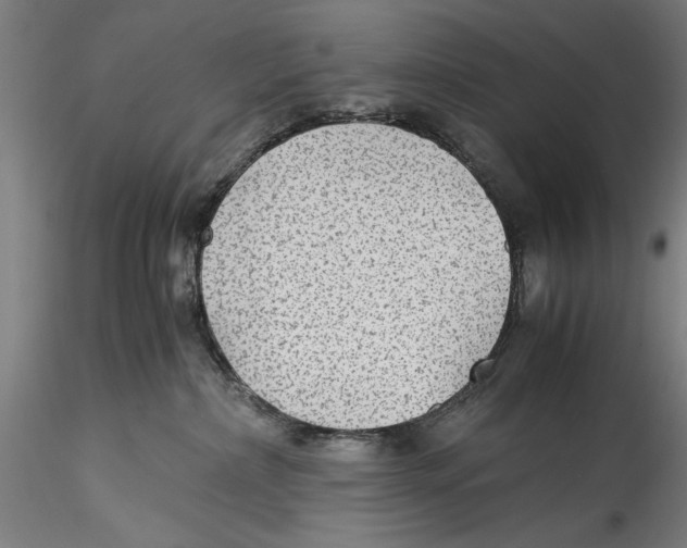 X0000115310236200911301543