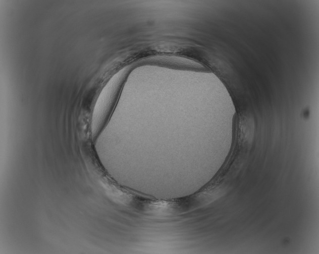 X0000115310237200911301543