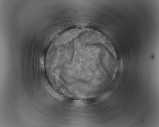 X0000115310238200911301543