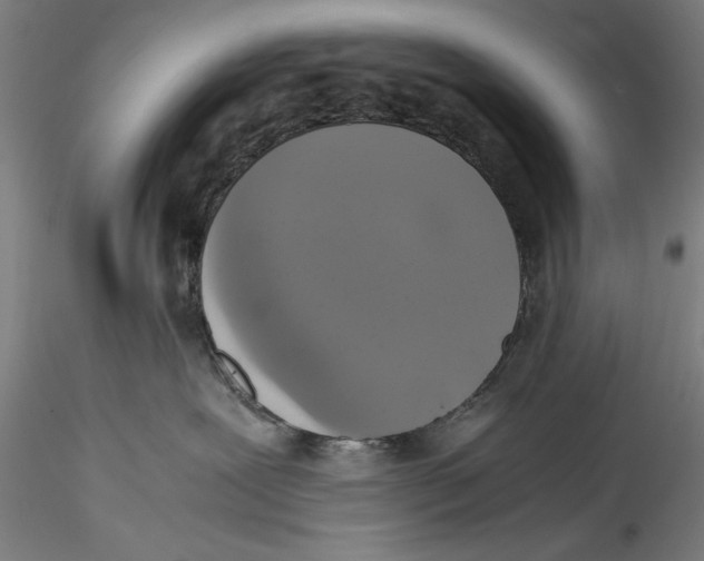 X0000115310239200911301543