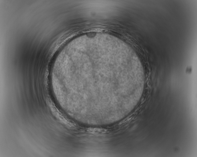 X0000115310242200911301542