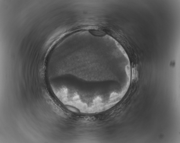 X0000115310243200911301542