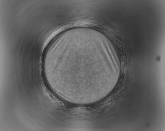 X0000115310244200911301542