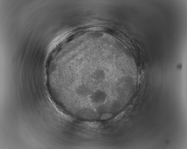 X0000115310245200911301542