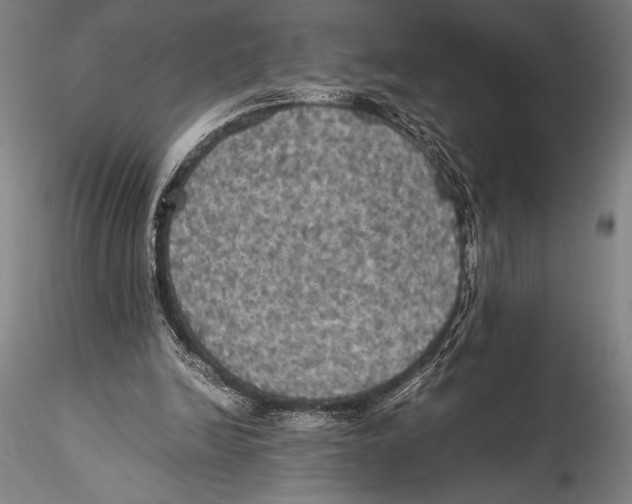 X0000115310246200911301542