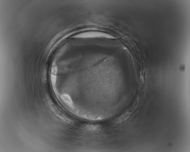 X0000115310247200911301542