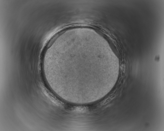 X0000115310248200911301542