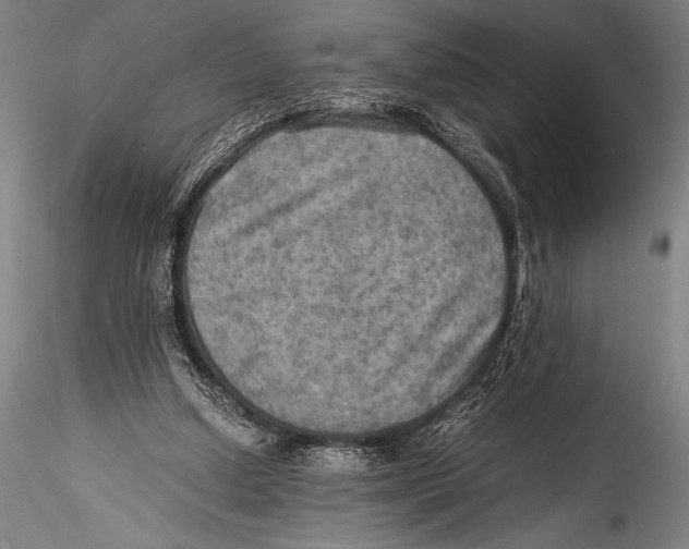 X0000115310250200911301542