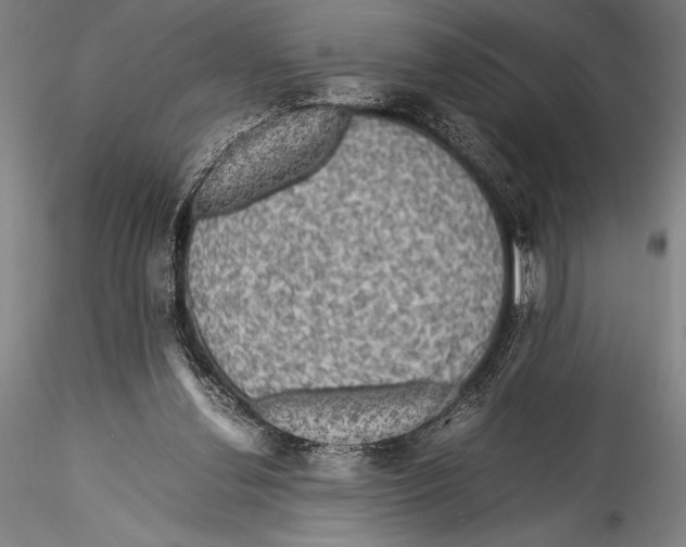 X0000115310252200911301542