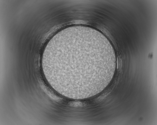 X0000115310253200911301542