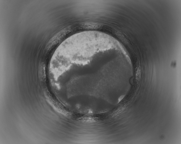 X0000115310254200911301542