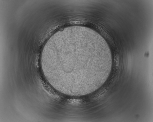 X0000115310255200911301542