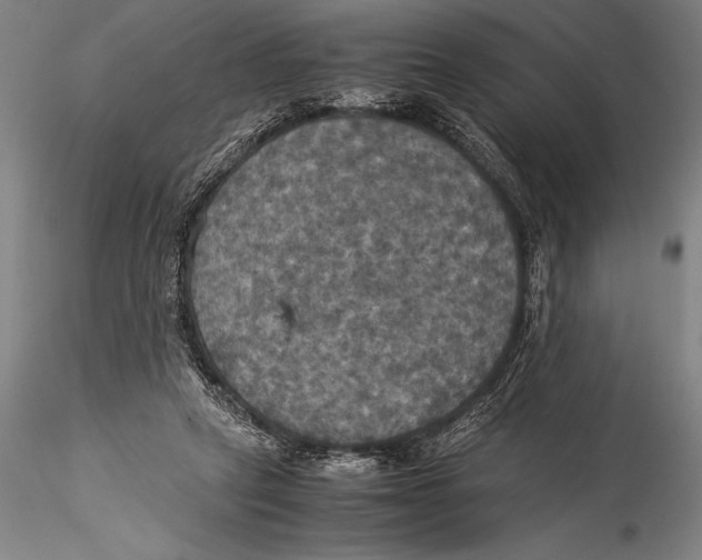 X0000115310257200911301542