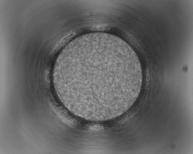 X0000115310258200911301542