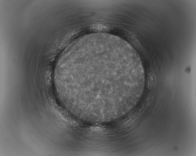 X0000115310259200911301542