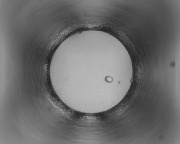 X0000115310260200911301542