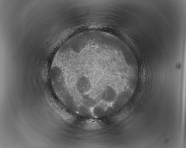 X0000115310261200911301542