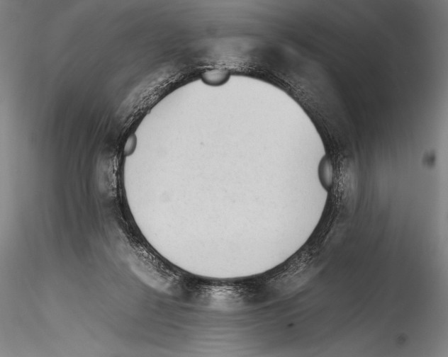 X0000115310264200911301542