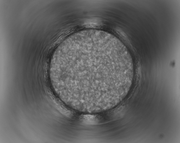 X0000115310265200911301542