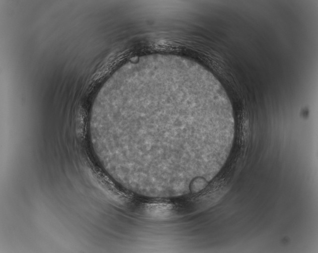 X0000115310266200911301542