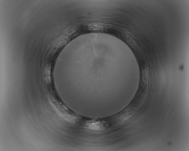 X0000115310267200911301542