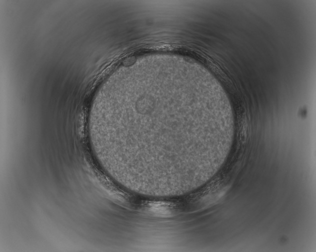 X0000115310268200911301542