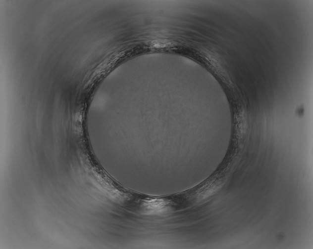 X0000115310269200911301542