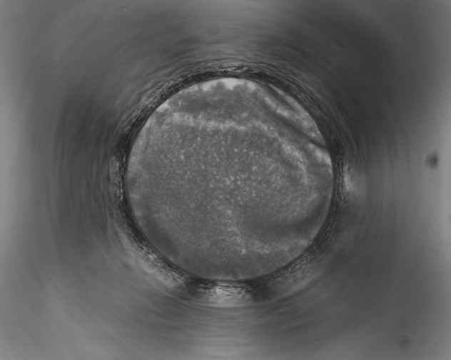 X0000115310270200911301542