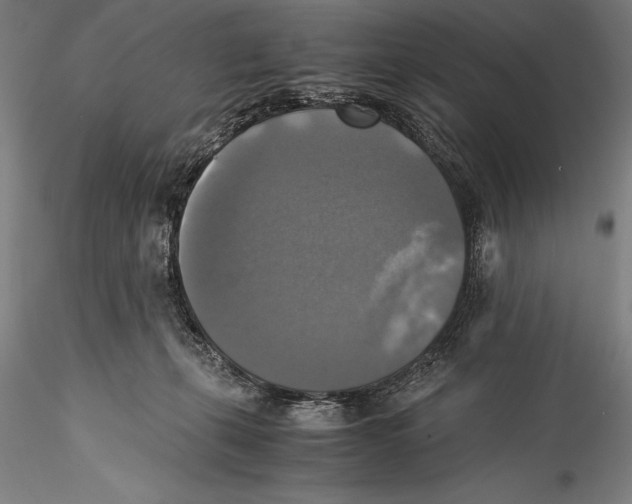 X0000115310271200911301542