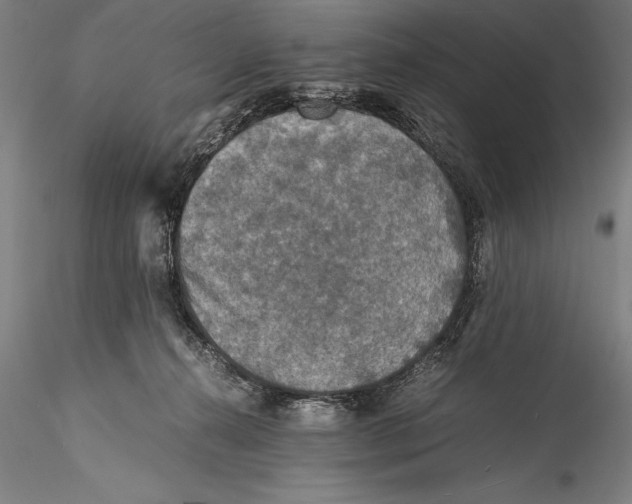 X0000115310272200911301542