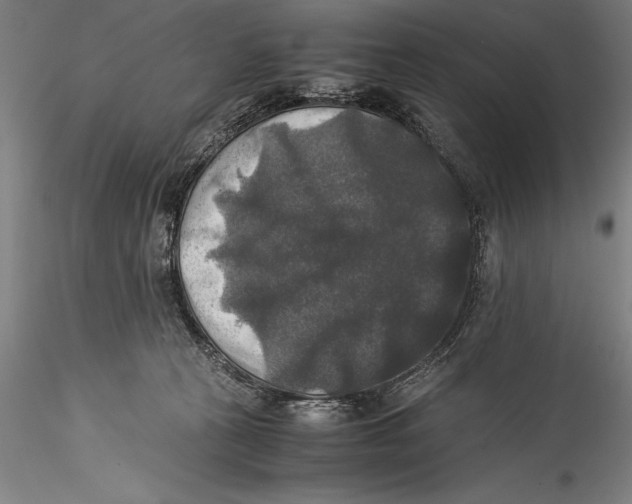 X0000115310273200911301542