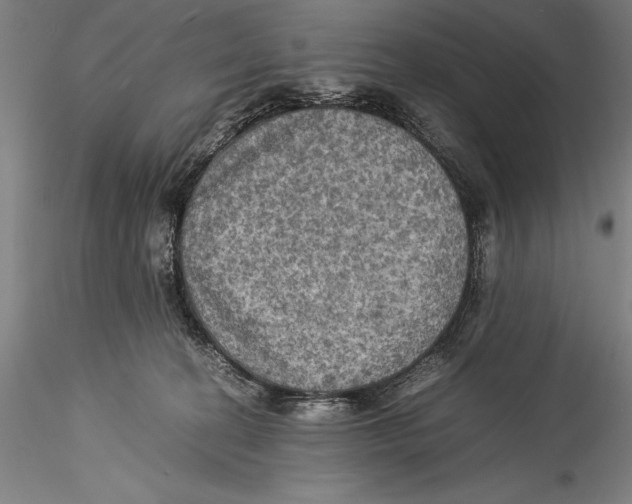 X0000115310274200911301542