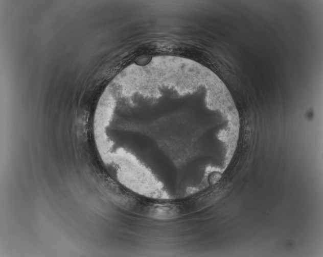 X0000115310275200911301542